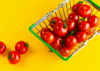 The AI Transparency Cycle